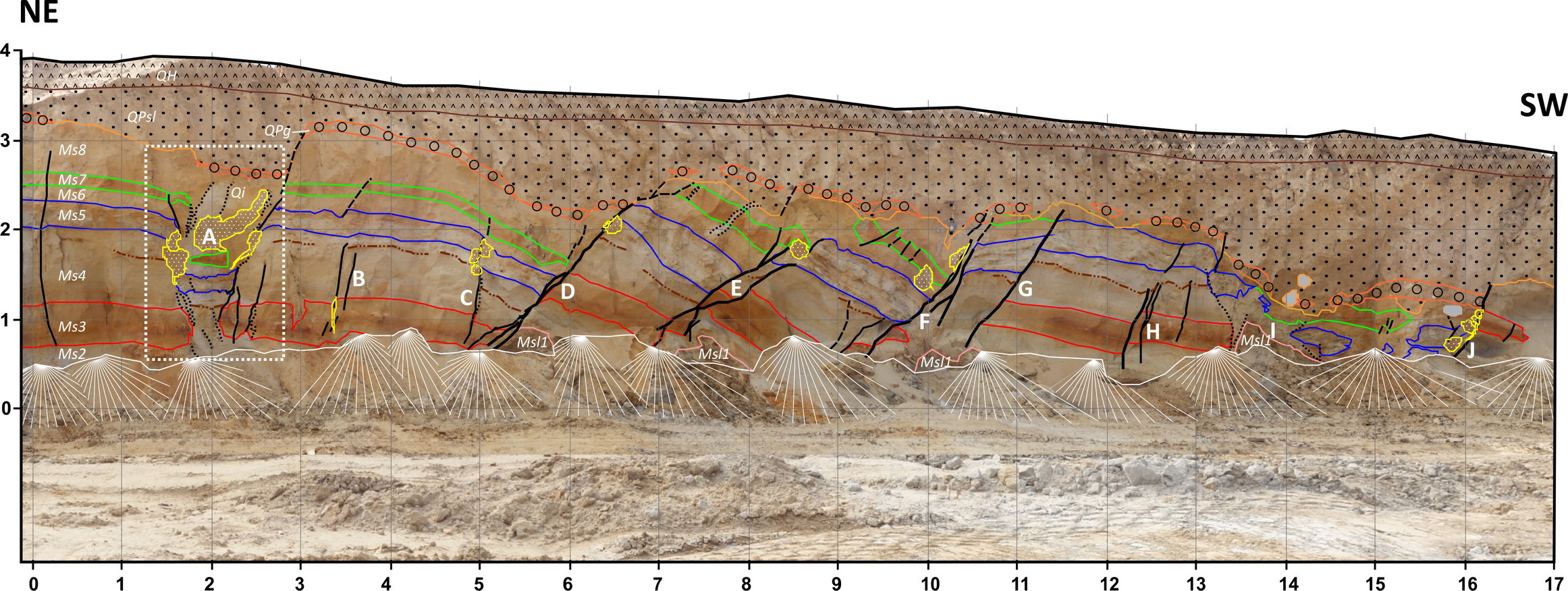 Geological profile in Lechovice road-cut.