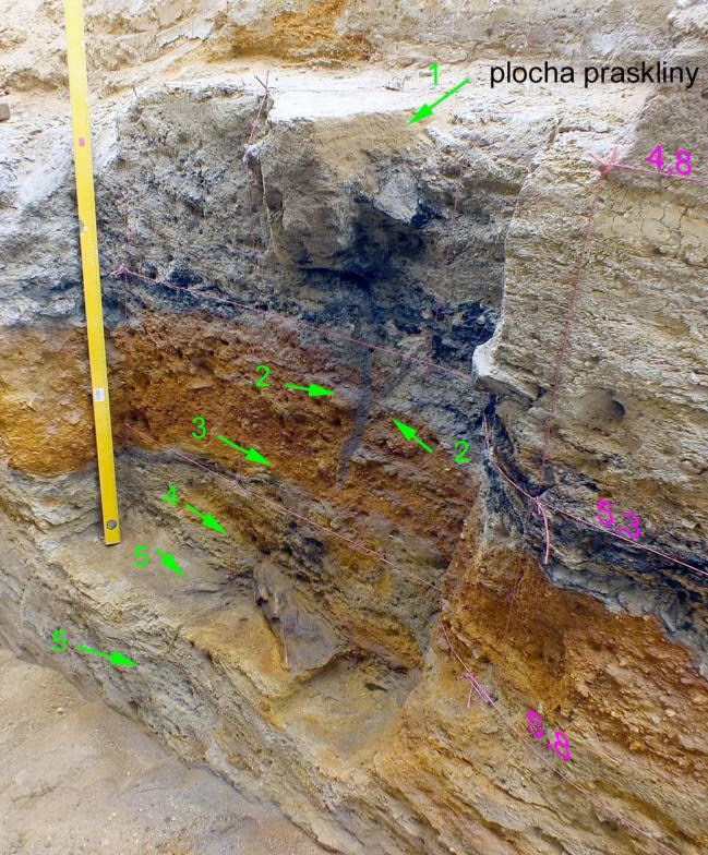 Sand dike cutting through the lower part of sedimentary sequence.